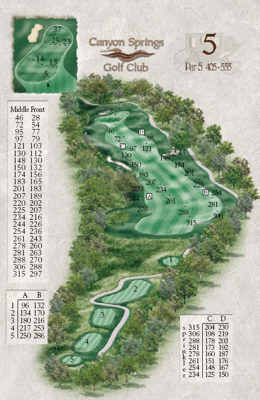 Canyon Springs Hole #5