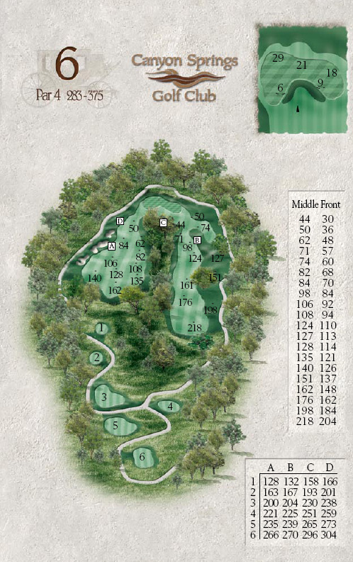 Canyon Springs Hole #6